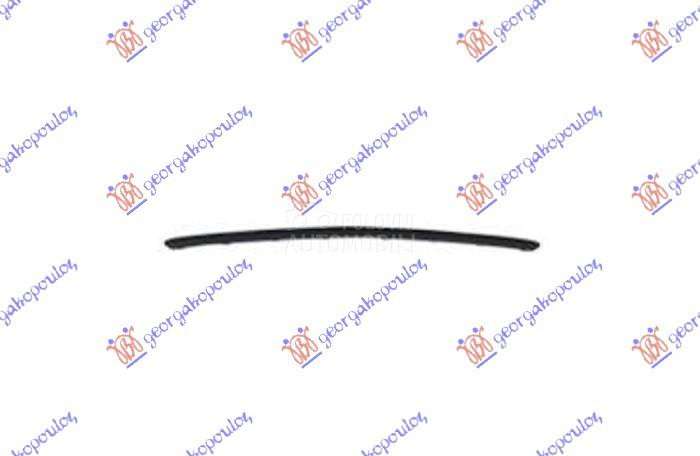 LAJSNA PREDNJEG BRANIKA DONJA