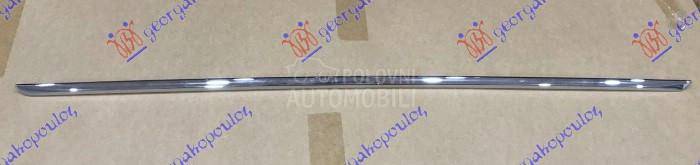 LAJSNA ZADNJEG BRANIKA SREDNJA