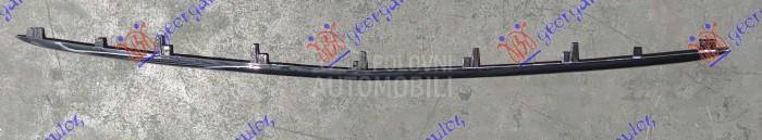 LAJSNA PREDNJEG BRANIKA DONJA