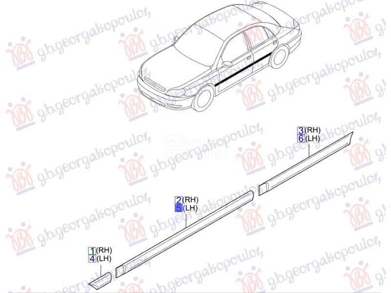 NEMA- LAJSNA PREDNJIH...
