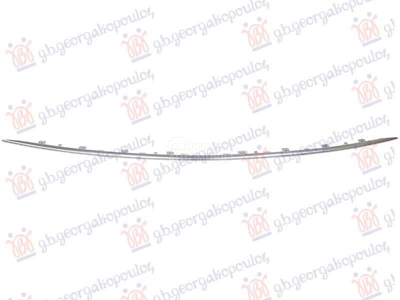 LAJSNA PREDNJEG BRANIKA DONJA