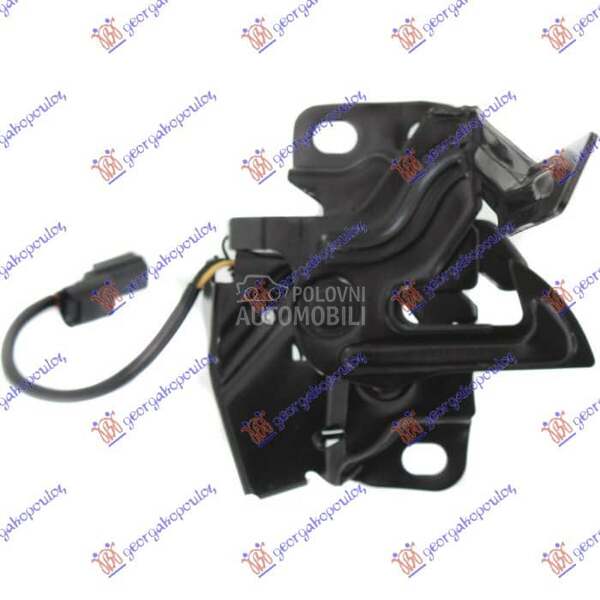 BRAVA HAUBE NA VEZNOM LIMU