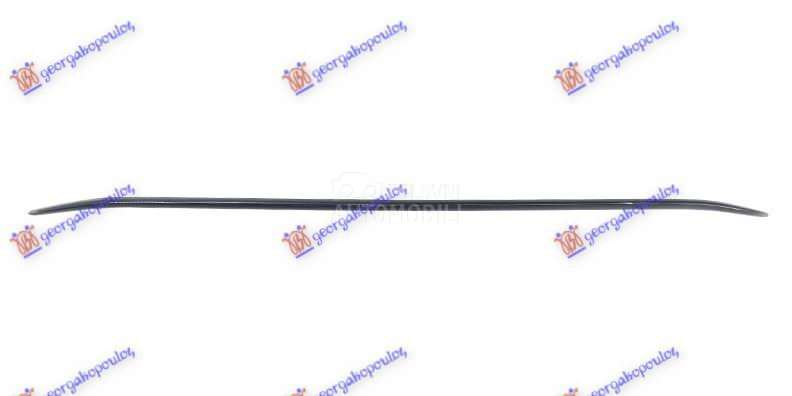 LAJSNA PREDNJEG BRANIKA DONJA