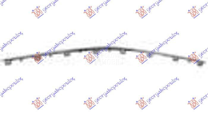 LAJSNA PREDNJEG BRANIKA DONJA