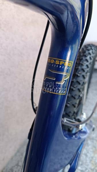 Scott Carbon Endorphin