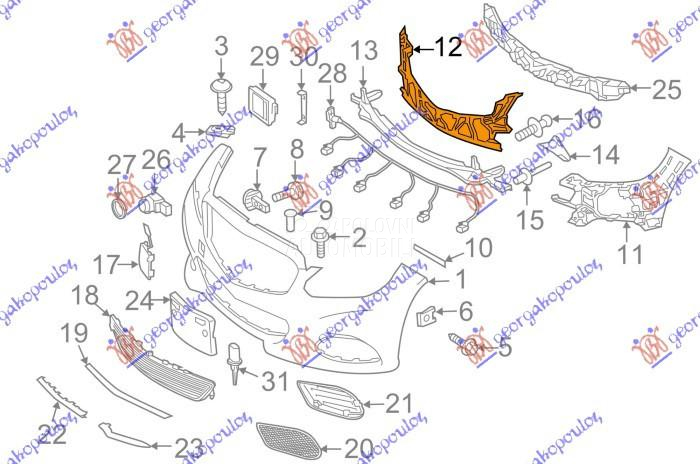 SINA PREDNJEG BRANIKA GORNJA P