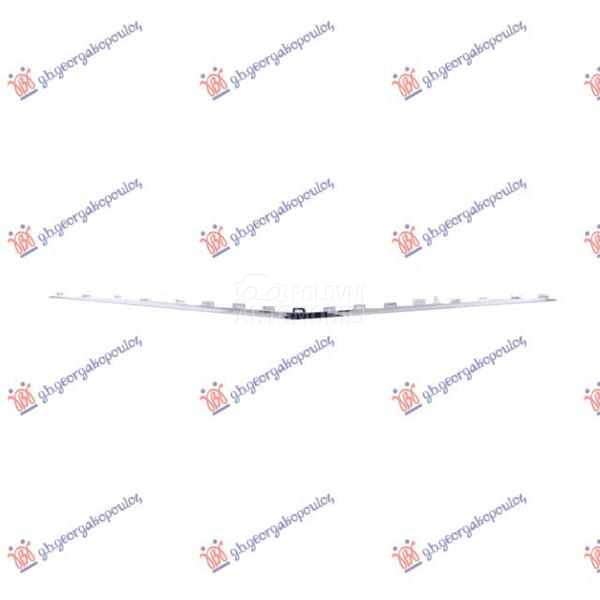 LAJSNA PREDNJEG BRANIKA DONJA