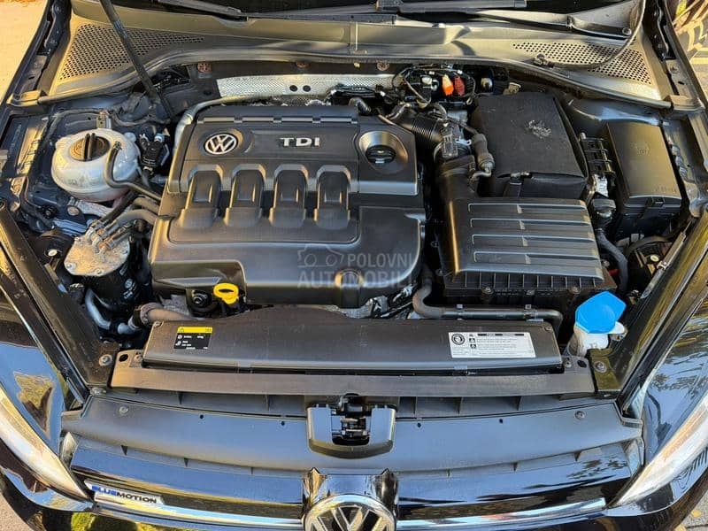 Volkswagen Golf 7 1.6TDI BLUEMOTION