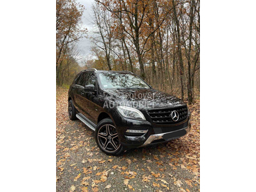 Mercedes Benz ML 250 