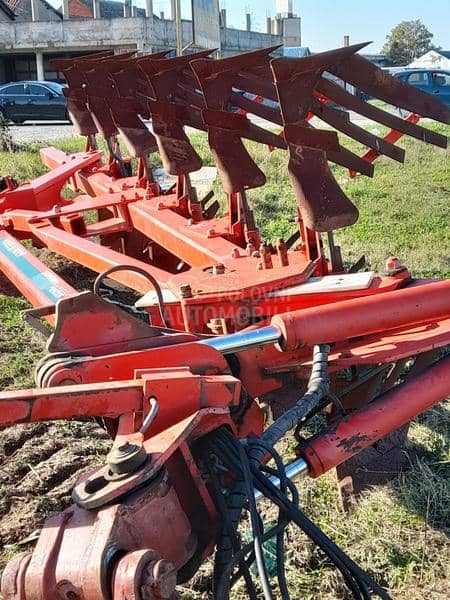 Vogel Noot Vektor1000