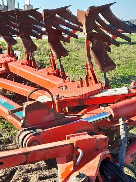 Vogel Noot Vektor1000