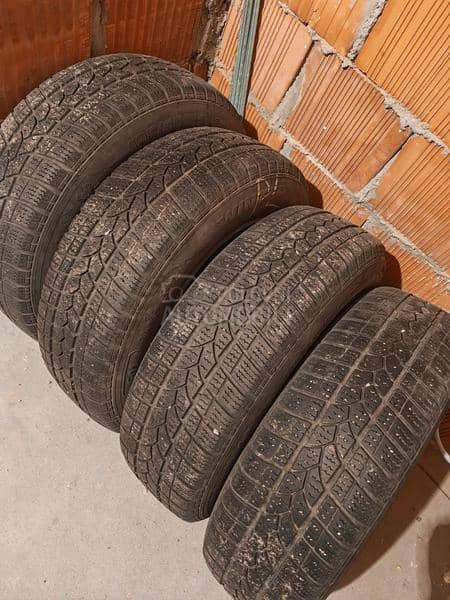 Taurus 195/65 R15 Zimska