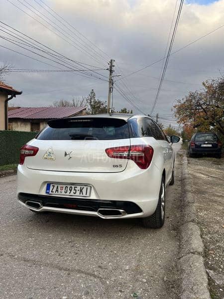 DS 5 