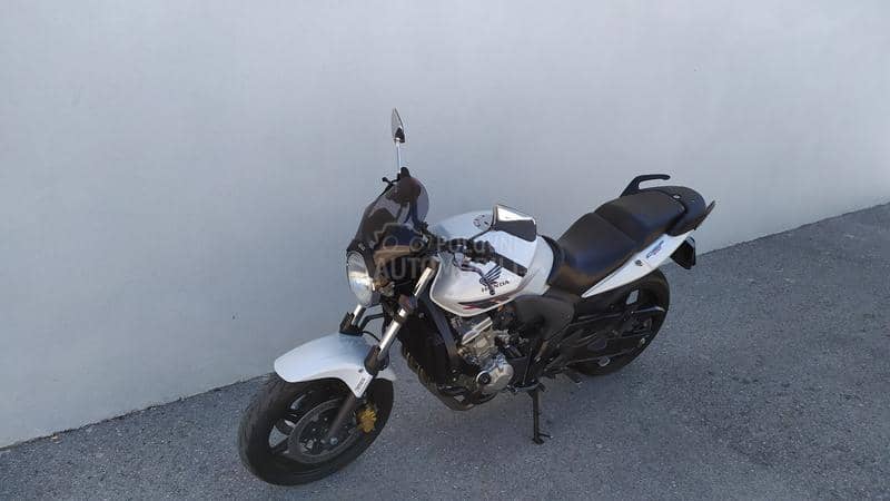 Honda CBF 600    cbf600