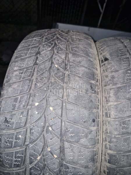 Tigar 205/55 R16 Zimska