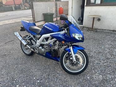 Suzuki SV 1000 S