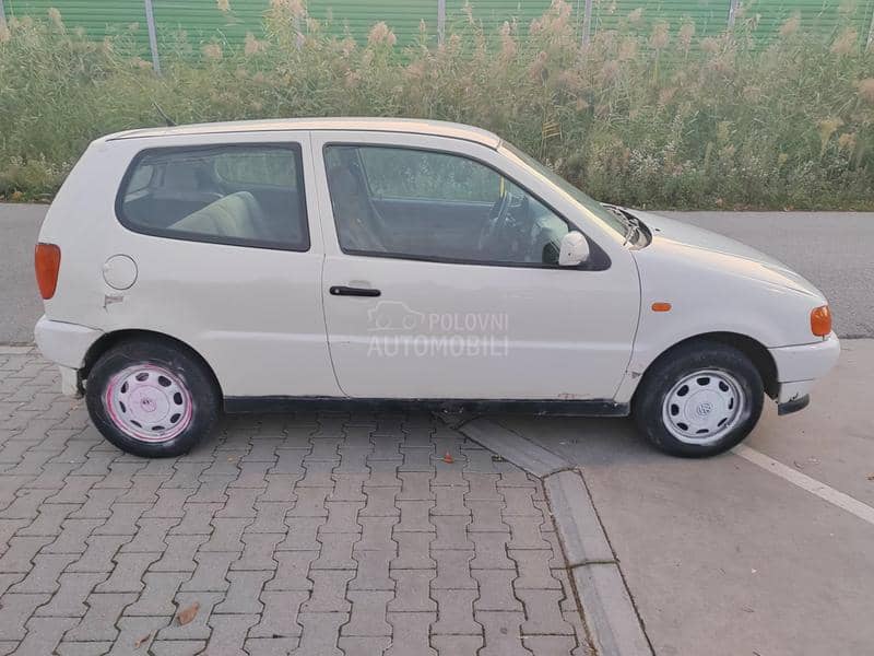 Volkswagen Polo regis trovan