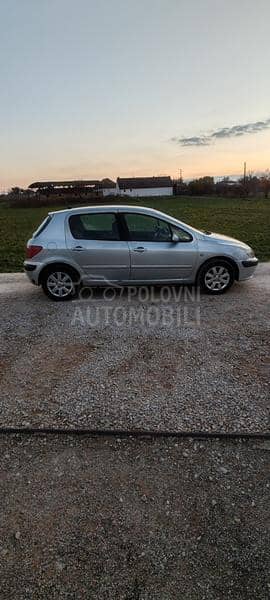 Peugeot 307 1.6 b