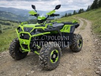 Ellite Moto ATV 150 PREMIUM 