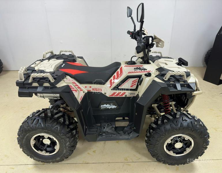 Ellite Moto ATV 150 LUX MODEL 2026.