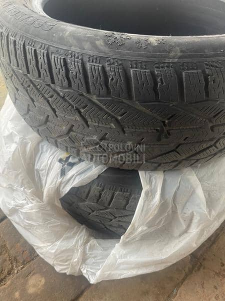 Riken 225/50 R17 Zimska