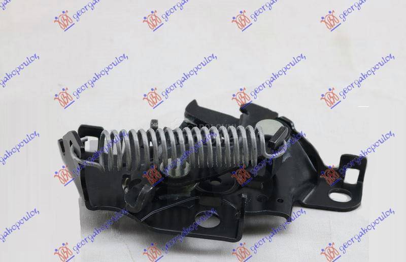 BRAVA HAUBE NA VEZNOM LIMU