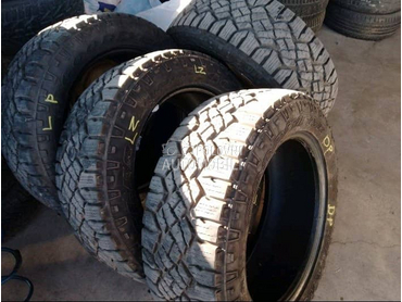 Goodyear 255/55 R19 Sve sezone