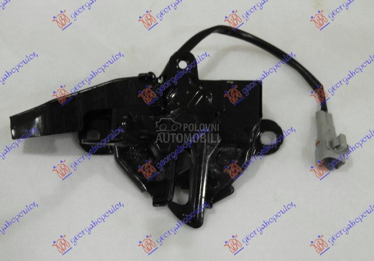 BRAVA HAUBE NA VEZNOM LIMU (SA