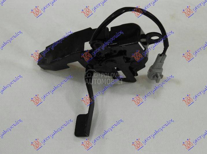 BRAVA HAUBE NA VEZNOM LIMU (SA