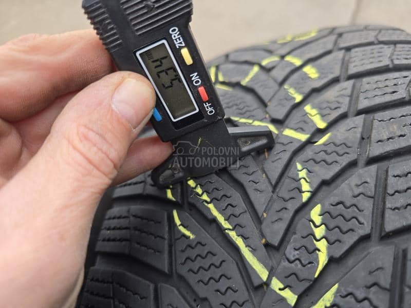 Nexen 225/65 R17 Zimska