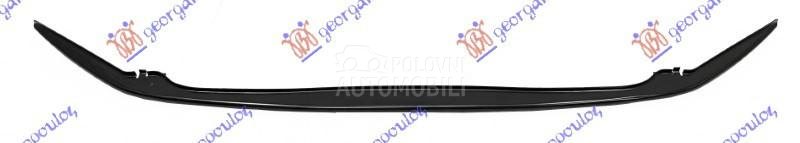 SINA PREDNJEG BRANIKA DONJA