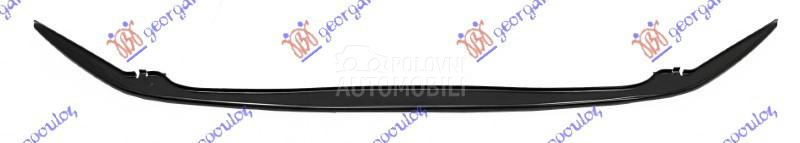 SINA PREDNJEG BRANIKA DONJA