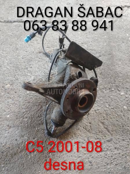 Glavcina ležaj točka