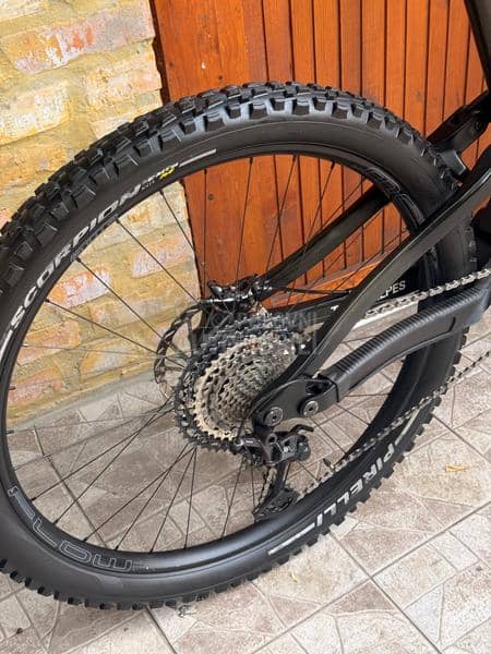 Carbon 29 Mtb