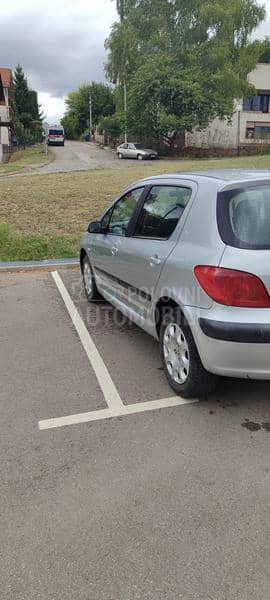 Peugeot 307 1.6