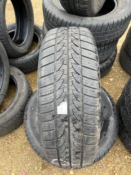 Platin Germany 215/65 R16 Zimska