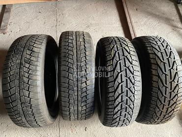 Taurus 205/55 R16 Zimska