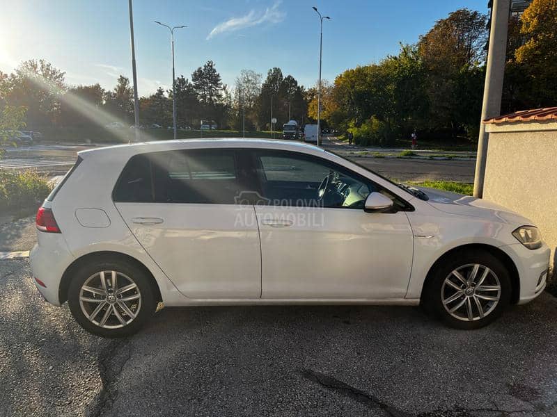 Volkswagen Golf 7 1.4TGI Reg.do 10.26.