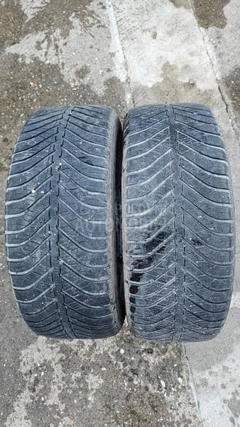 Goodyear 215/55 R16 Sve sezone