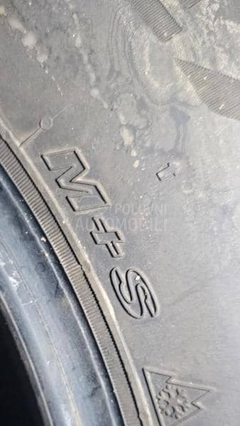 Nexen 195/65 R15 Sve sezone
