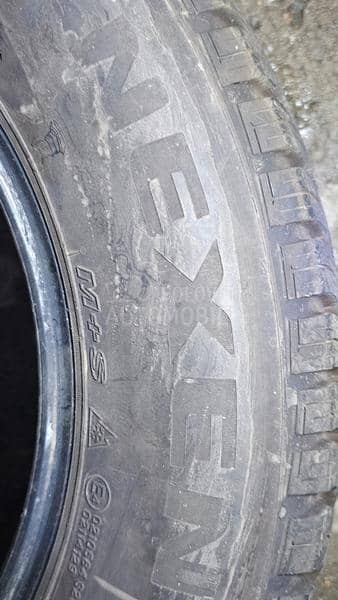 Nexen 195/65 R15 Sve sezone