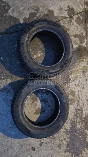 Nexen 195/65 R15 Sve sezone