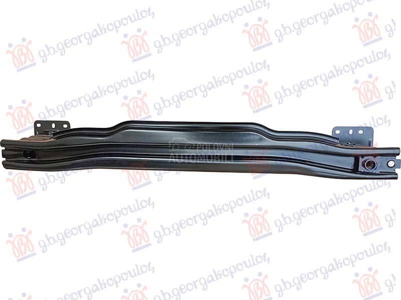 SINA ZADNJEG BRANIKA