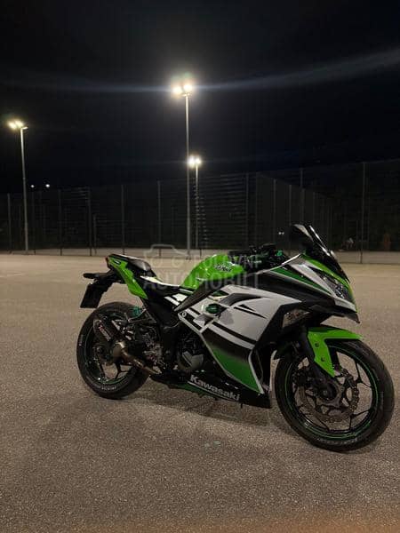 Kawasaki ninja anniversary