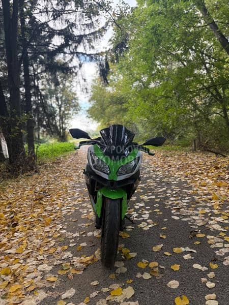 Kawasaki ninja anniversary