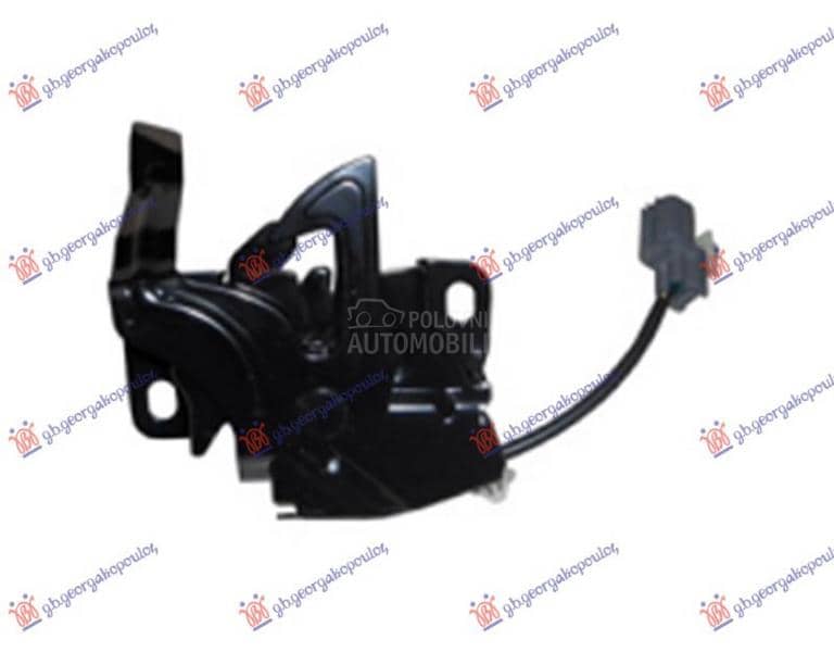 BRAVA HAUBE NA VEZNOM LIMU