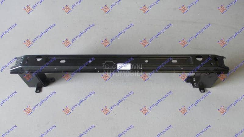 SINA ZADNJEG BRANIKA