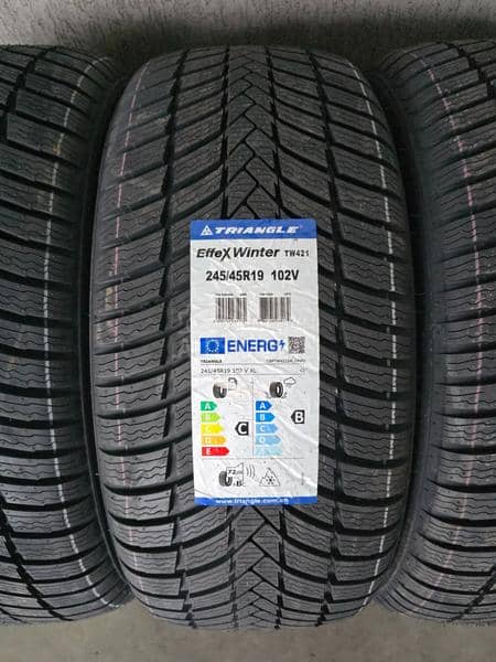 Triangle 245/45 R19 Zimska