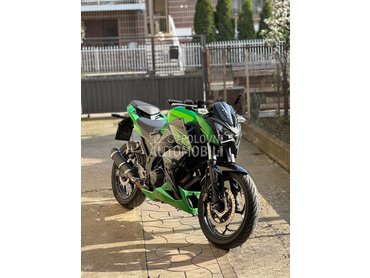 Kawasaki Z300