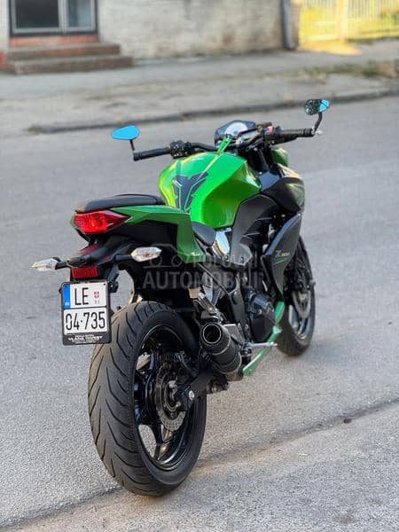 Kawasaki Z300